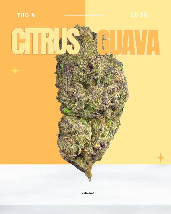 Citrus Guava 14g Half Oz Flower Bag