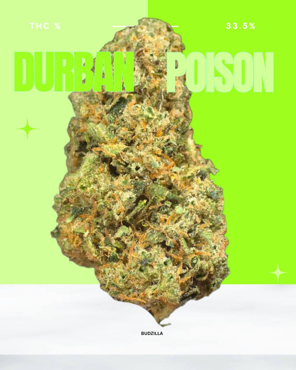 Durban Poison 14g Half Oz Premium Flower Bag
