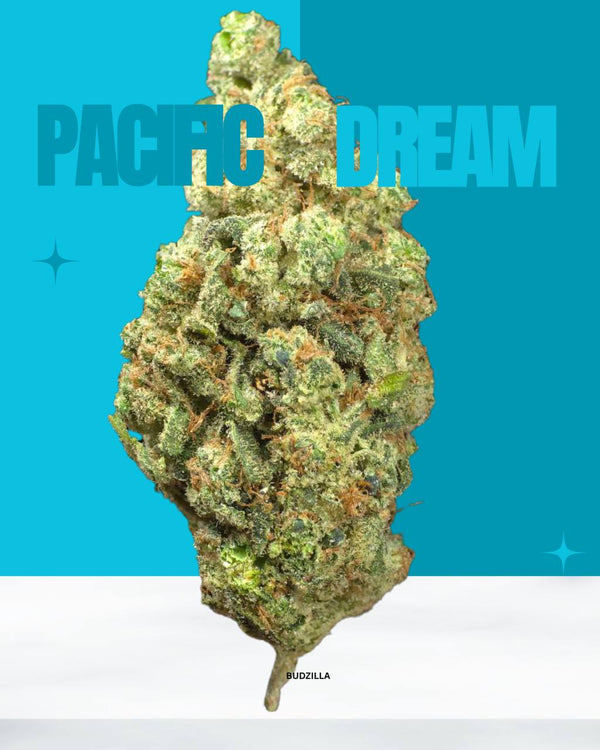 Pacific Dream 14g Premium Flower