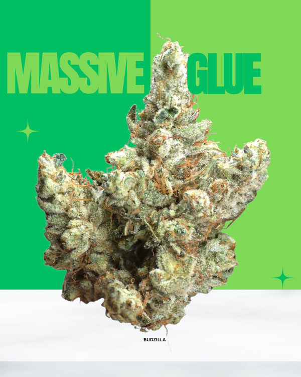 Massive Glue 14g Half Oz Exotic Flower Bag
