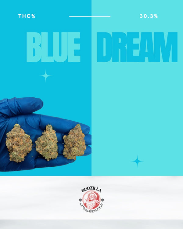 Blue Dream 3.5g Flower Bag